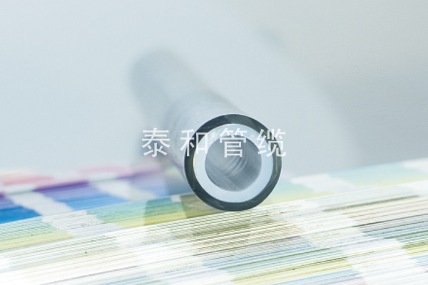 �������|ϵ��